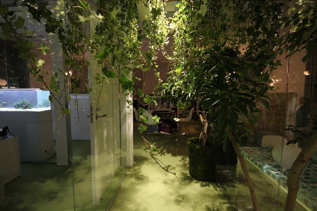 オフィスデザイン実績～明るい空間で自然と共に成長する酸素濃度の高いオフィス