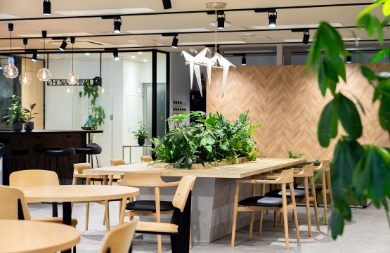 オフィスデザイン事例|自由に働き方を選択できる木とグリーンを基調としたオフィス