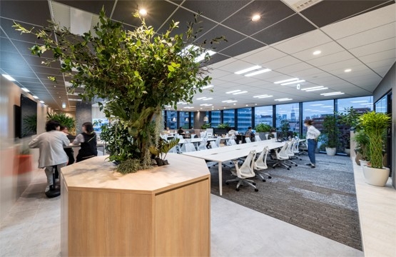 オフィスデザイン事例|家のような居心地の良さをデザイン。グリーンを多用した開放的なオフィス
