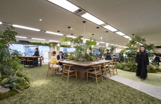 デザイナーズオフィス事例|緑に囲まれて働くバイオフィリックオフィス『オーエフの森』